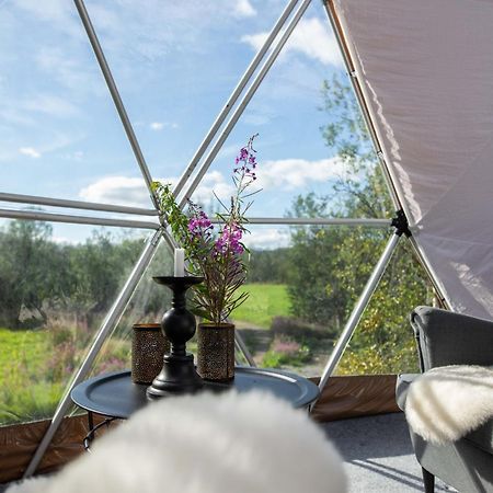 Aera - Glass Cabins Tromso Luaran gambar