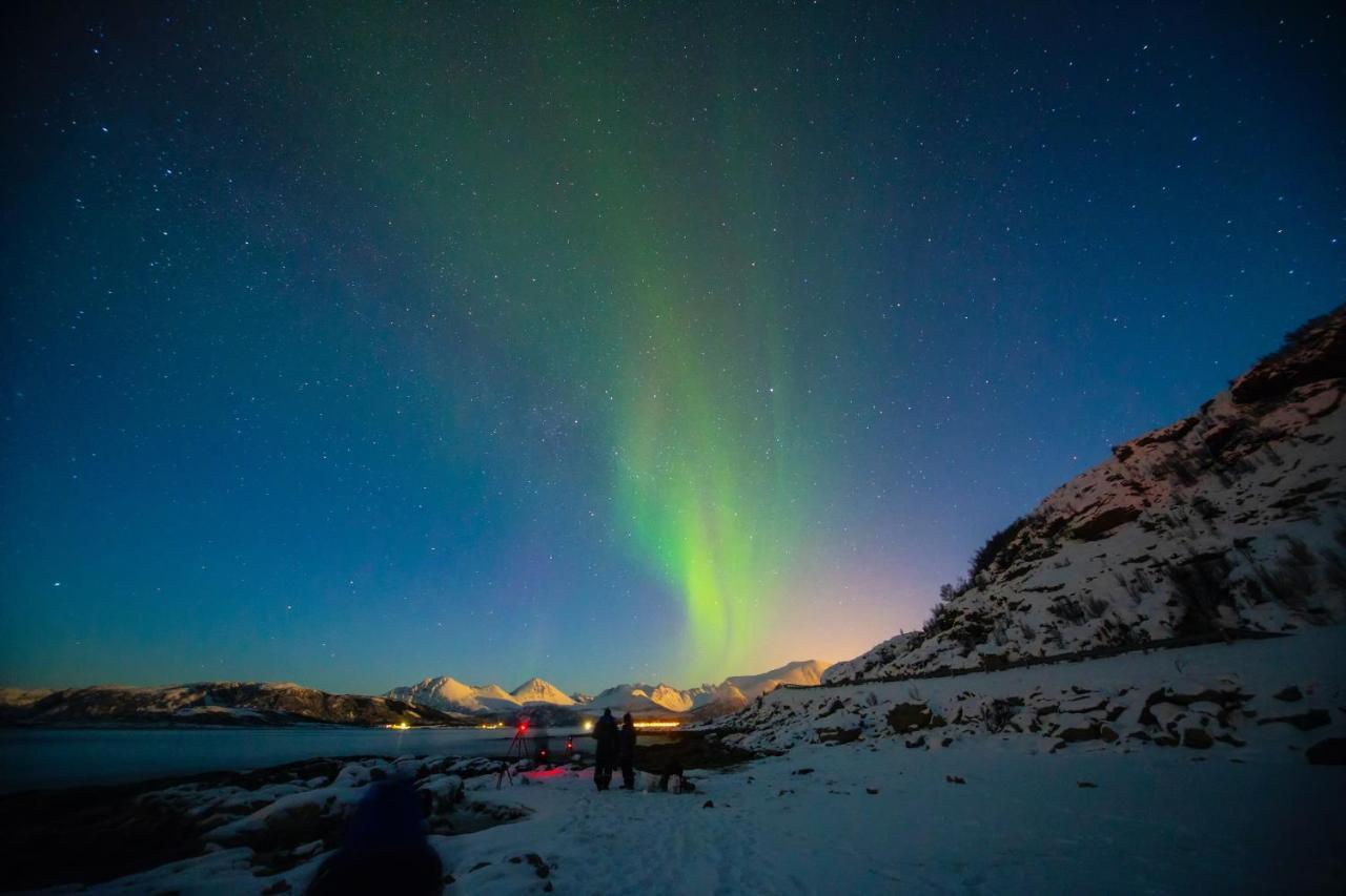 Aera - Glass Cabins Tromso Luaran gambar
